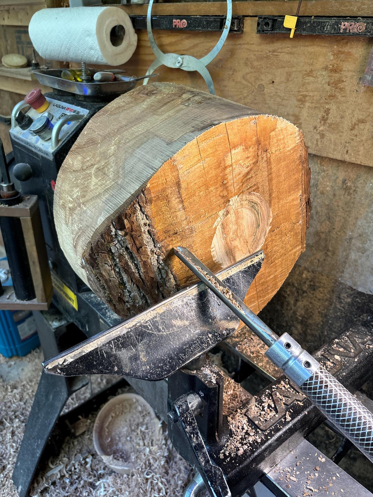 14” Broadleaf Maple Decor Bowl